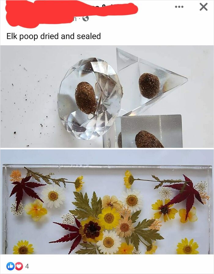 Posting Anon So As Not To Be Kicked From The Group But I Will Never Understand Sealing Poop In Resin