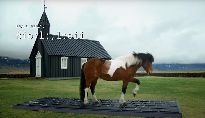 These Icelandic Horses Will Reply To Work-Related Emails On A Giant Keyboard