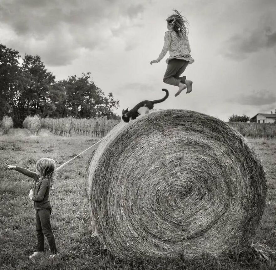 57 Stunning New Pics Of Animals Shared By Decisive Moments Magazine