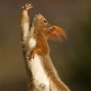 patiencehypatience avatar