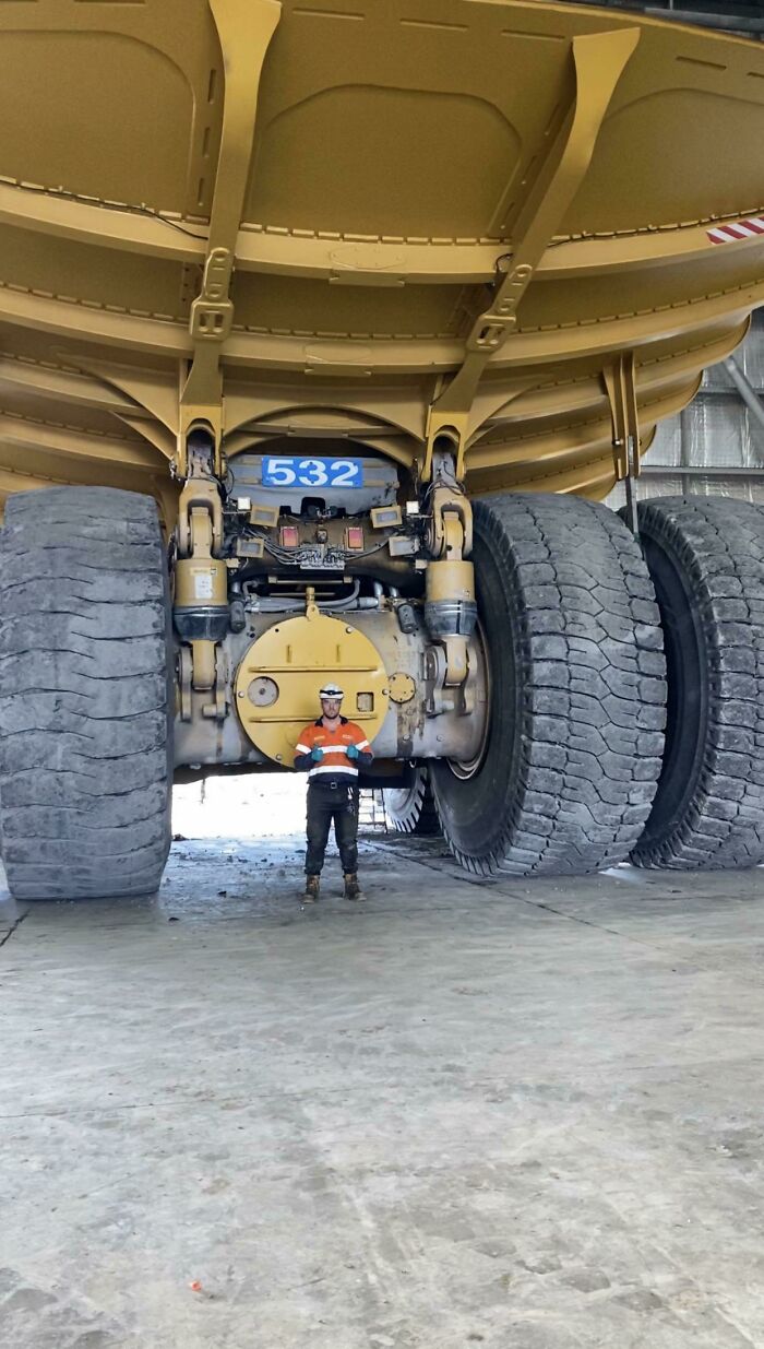 Me Standing Next To A Cat 797