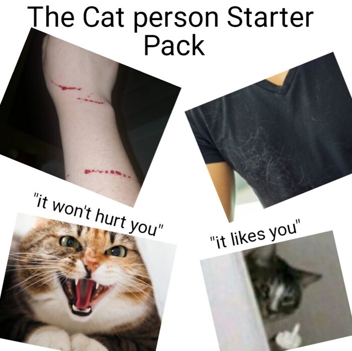 The Cat Person Starter Pack