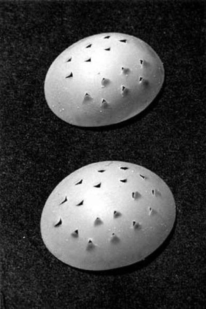 These "Eye Caps" That Morticians Use To Keep Your Eye Lids Closed. Notice The Angled Perforations?