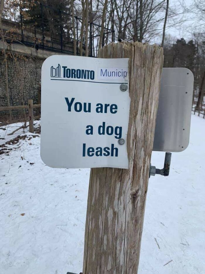 Toronto's Inspirational Message