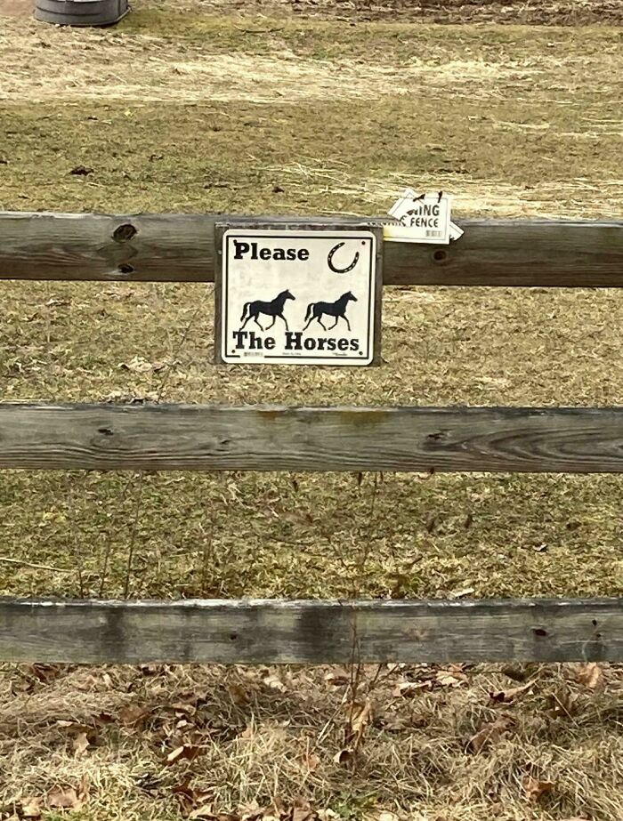 You Better Please The Horses!