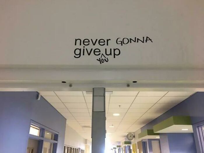 Never Give Up