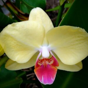 lisavilcsek_1 avatar