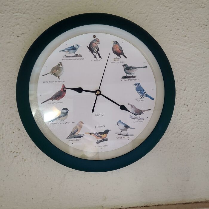 Unlikely Bifl - Grandma's Clock