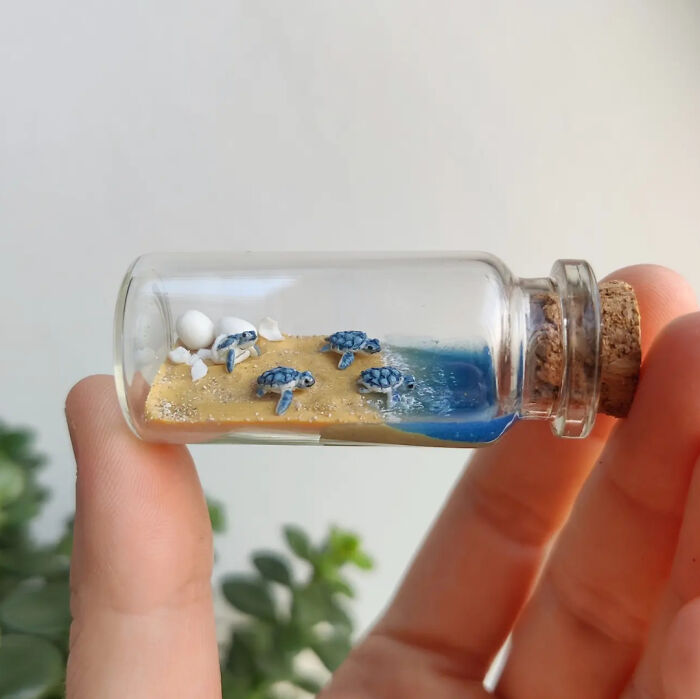 I Made These Tiny Baby Turtles Hatching In A Bottle