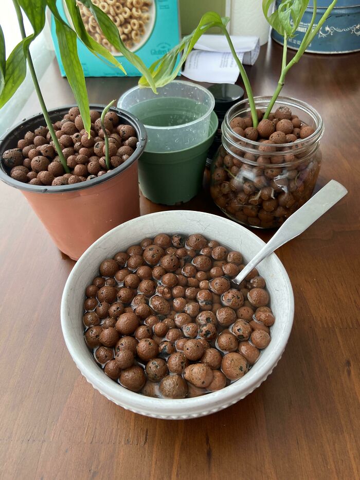 Are These Coco Puffs Making Us Cuckoo?