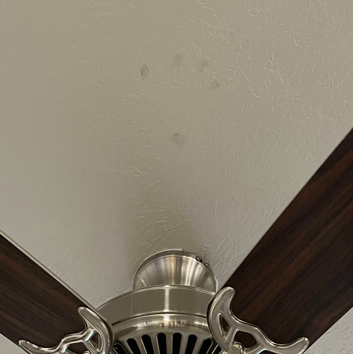 Discovered These Fingerprints On Our Ceiling Tonight. No Idea How, Or When, They Got There. Nobody In Our Household Can Reach That High. We Are The Original Residents Of The Home