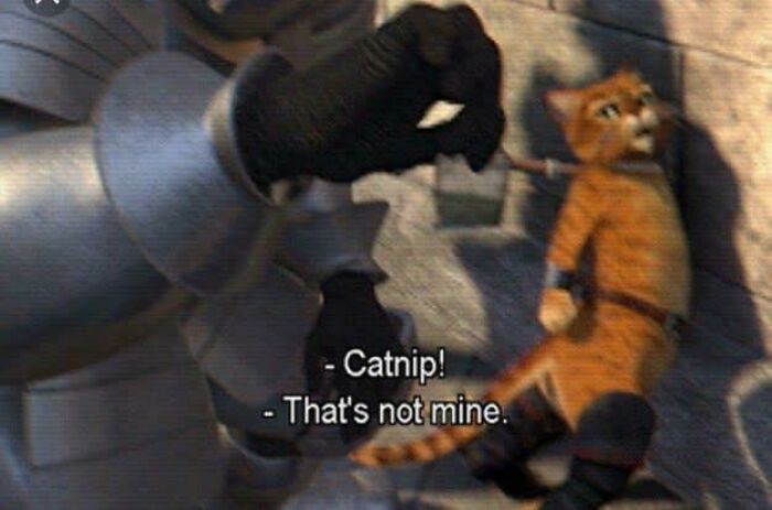 In Dreamworks Shrek 2, During A Brief Blink And You’ll Miss It Moment You Can See Catnip Being Confiscated Off Of Puss In Boots As He Is The Only One With Any Illegal Substances On His Person. This Is Actually An Intended Reference To The Fact That Only Pussies Do Drugs