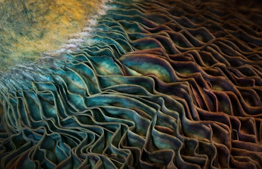 Art Of Nature Category Winner -"Field Of Dreams" By J Fritz Rumpf