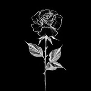 anahipercastreavalos avatar