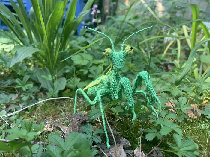 Finished My Mantis! He’s Tiny And Was My First Time Using Lace Weight Yarn! I Actually Love How Detailed You Can Get With It Though!