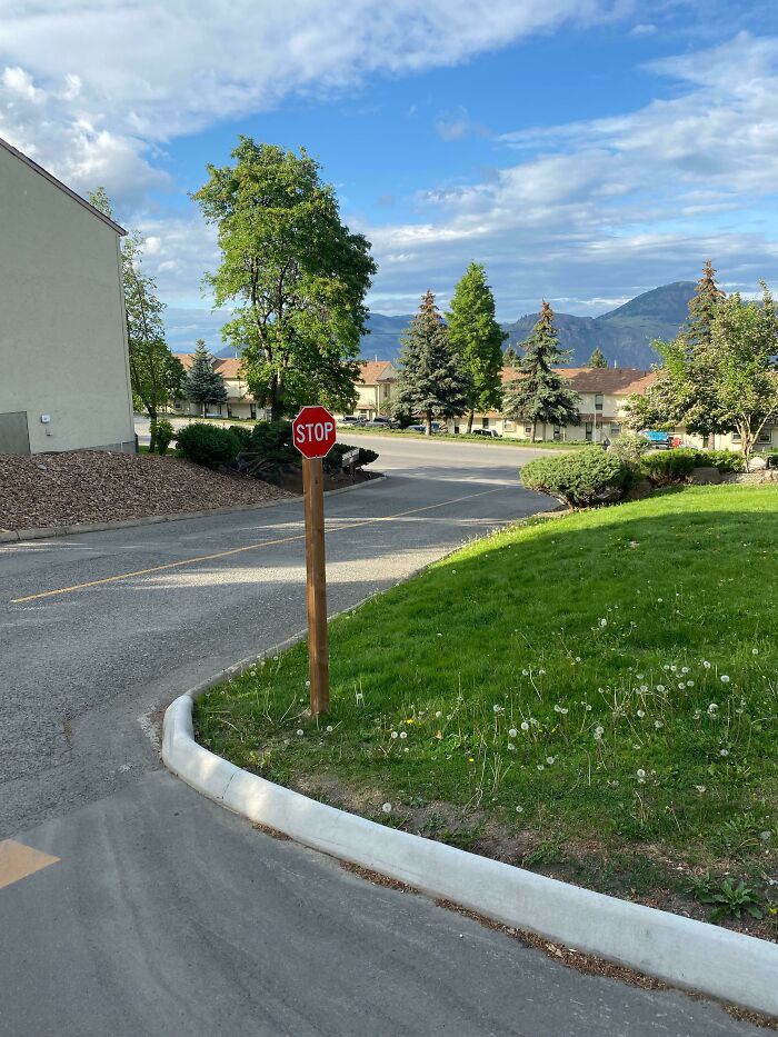 This Tiny Stop Sign