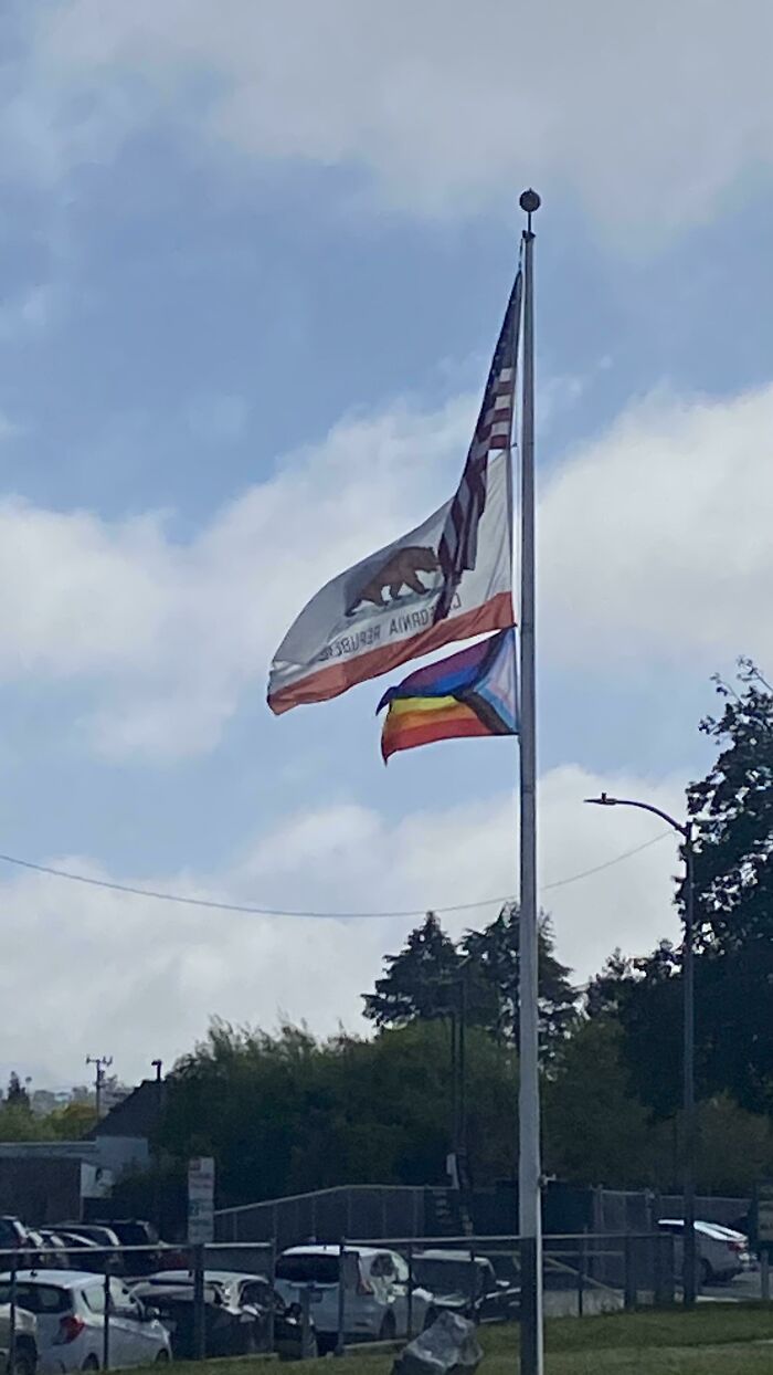 My Son’s Elementary School Started Flying A Progress Pride Flag This Week