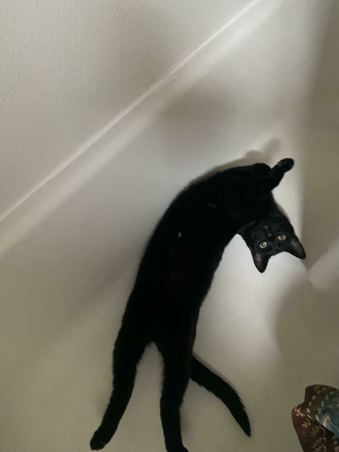 Not What I Expected When I Went To Take A Shower