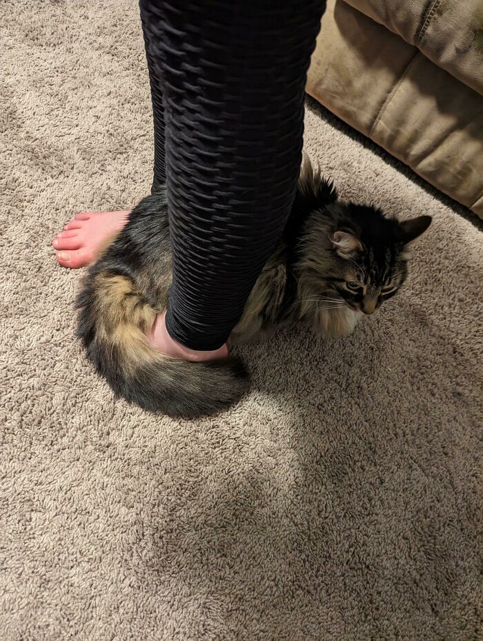 He Just Loves Feet