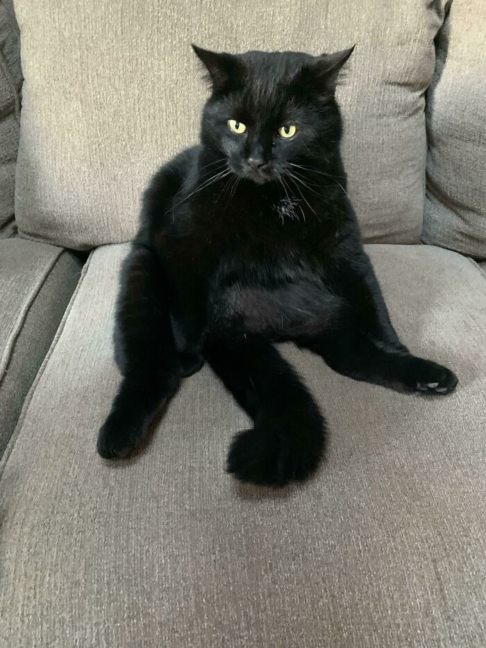 He Sat Like This For Over An Hour