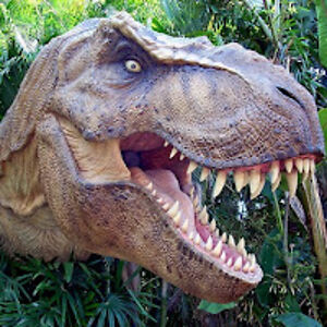 andrewharris_2 avatar