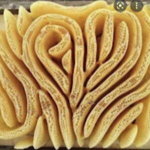 mohamedshekhaldin avatar