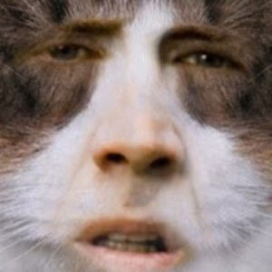 nesteszarka-kovacs avatar