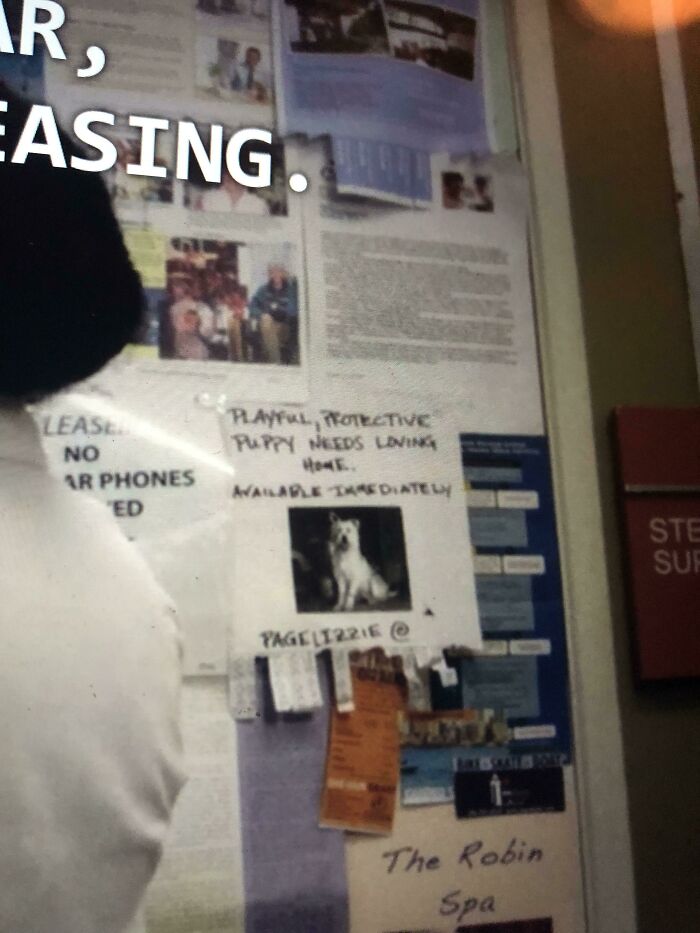 In 2.14 Of Greys Anatomy Izzie Tried To Give Away Their Dog Doc And And Hangs Up Flyers. In 12.1, When Arizona Wants To Find Roommates, The Same Flyer Appears