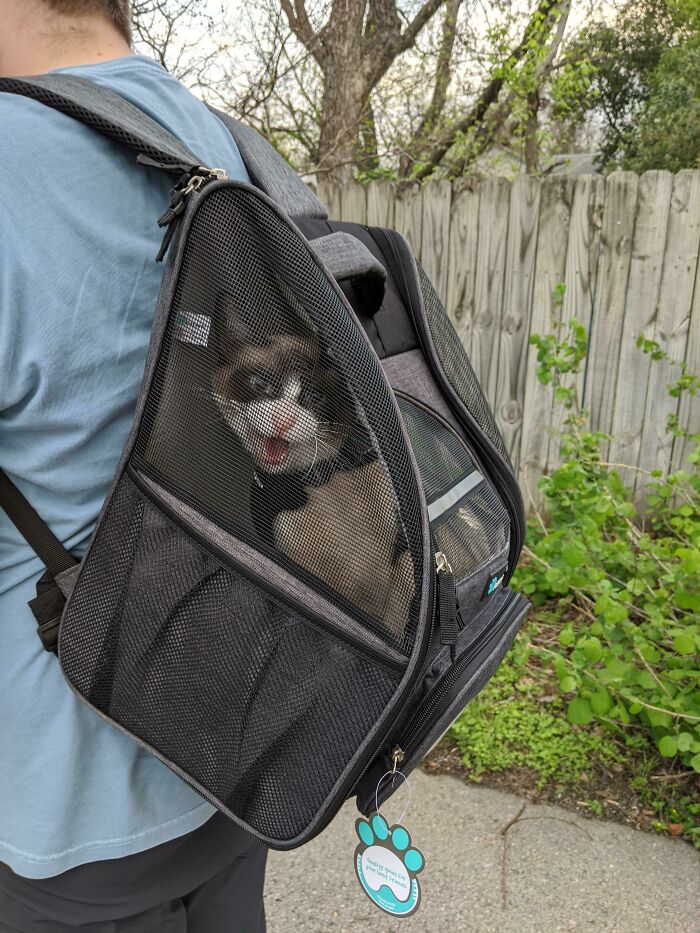 Social Distancing Day 9: Cat Backpack!