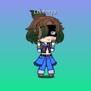 loonarys avatar