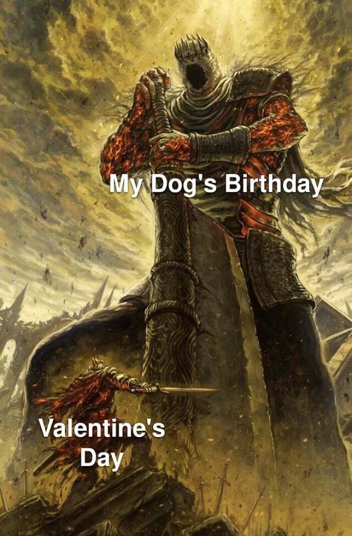 birthday meme about dog and valentines days
