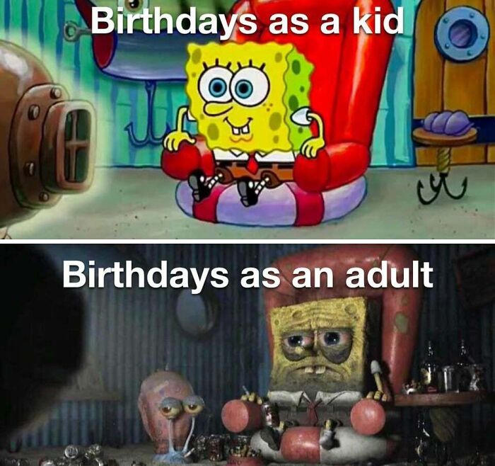 birthday meme about kid vs adult
