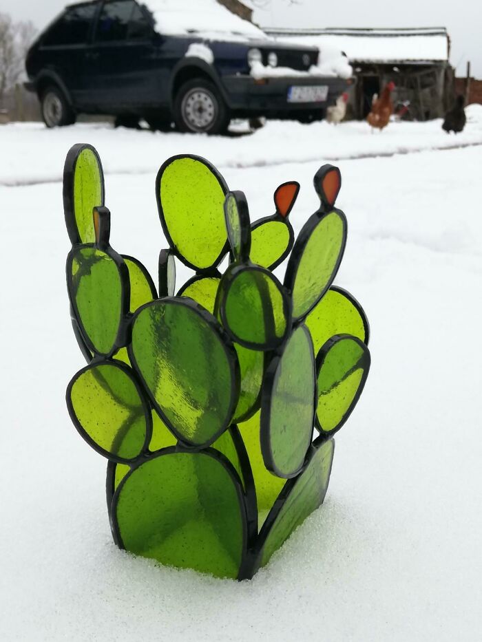 Cactus a prueba de invierno