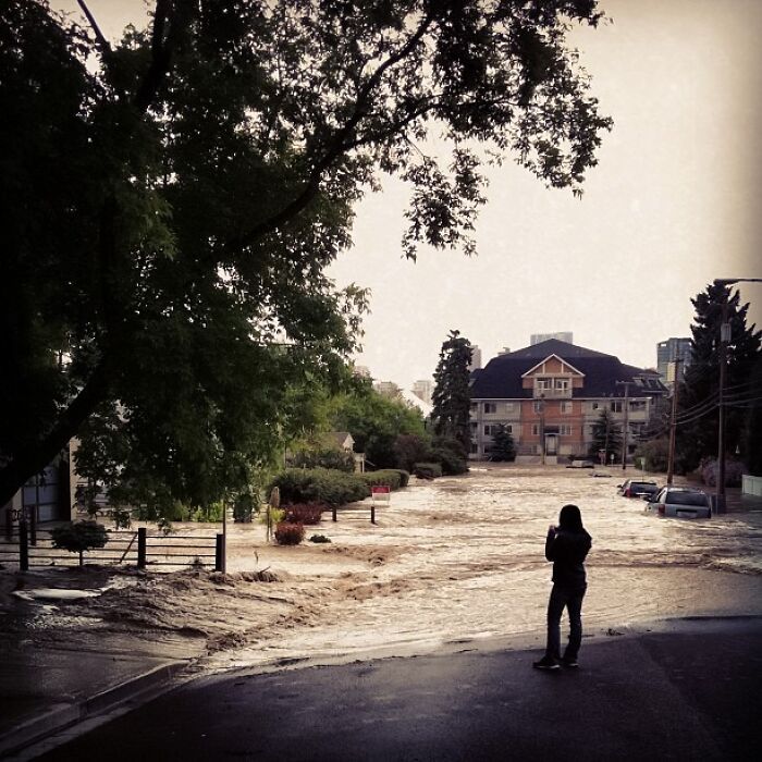 A flooded city road with a large tree and a young woman taking a picture