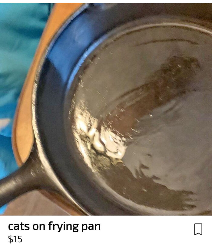 Cats On Pan