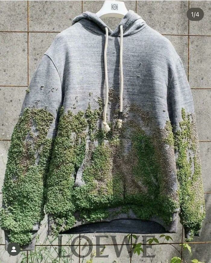 Loewe Ss23 Had This Hoodie With Real Moss. How Could This Look Be Replicated With Embroidery?