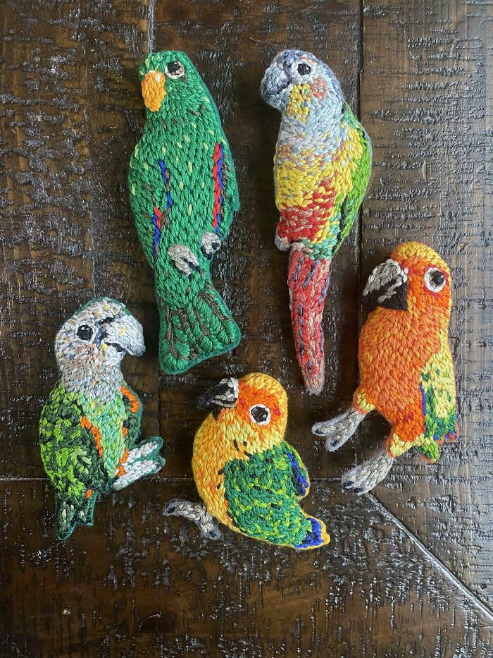 Just Finished This Little Family! Pocket Parrots