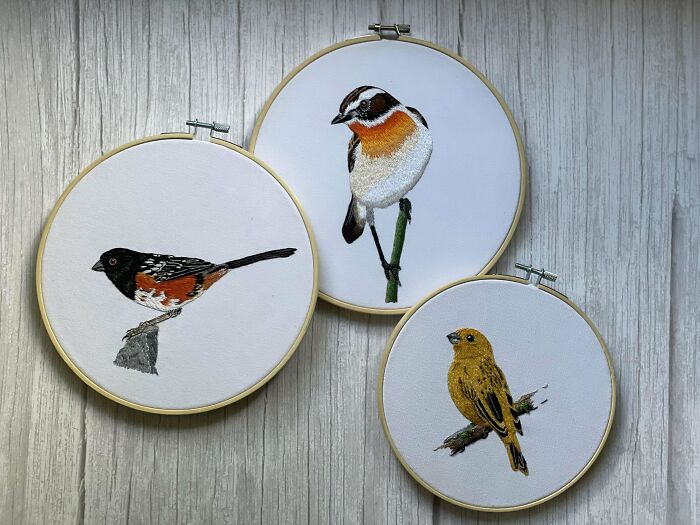 My Recent Bird Embroideries