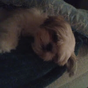 thisisanoldaccountidk avatar