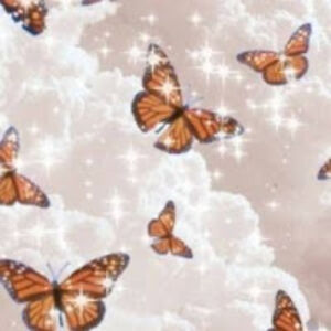 alondraromero_1 avatar