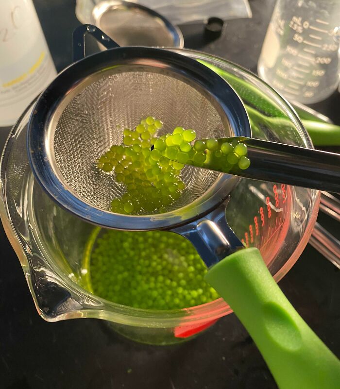 Algae Balls From My Lab Are Looking Kinda Delicious