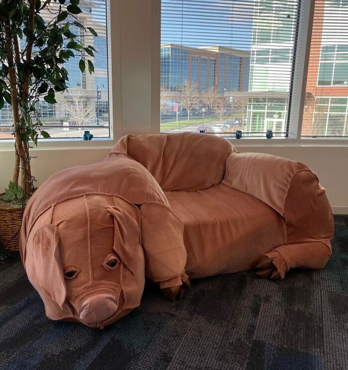 Brow office couch like dog or pig