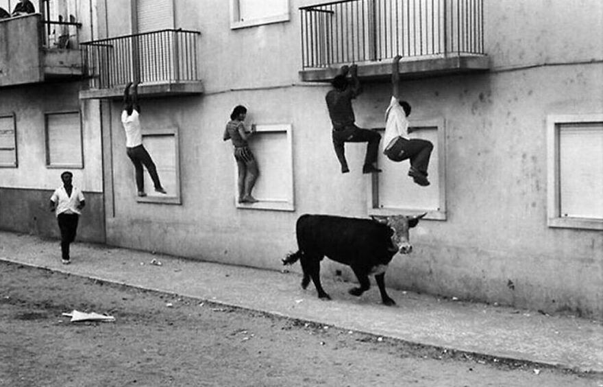 57 Stunning New Pics Of Animals Shared By Decisive Moments Magazine