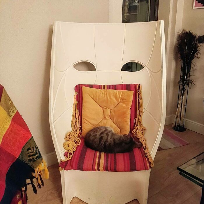 Cat sleeping on white mask shaped chair 