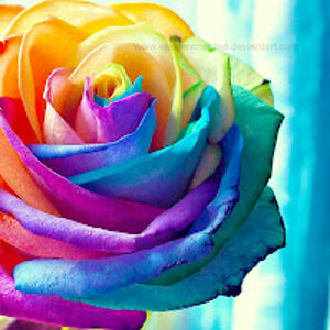 sanabintesuleman avatar