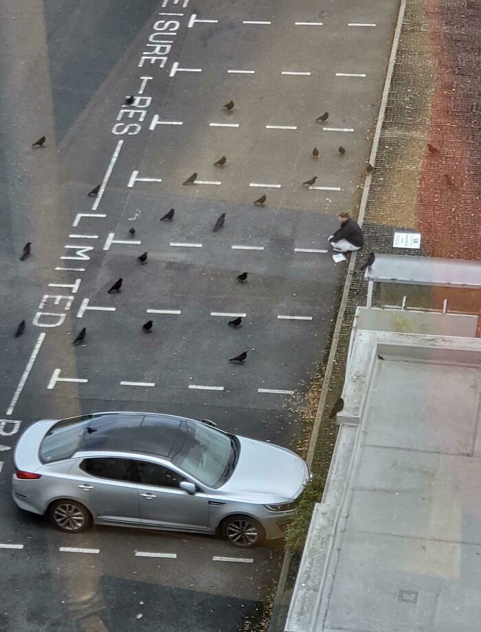 Man sitting near many crows