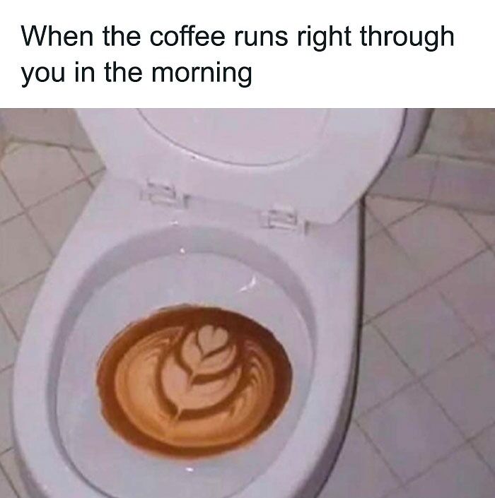 latte in the toilet meme