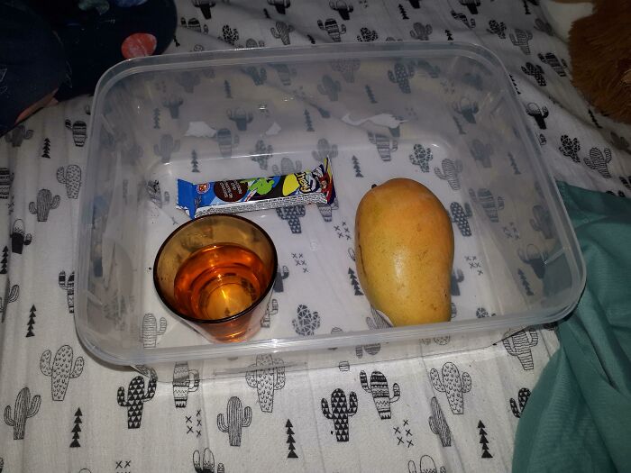 My 4 Y/O Made Me Breakfast In Bed