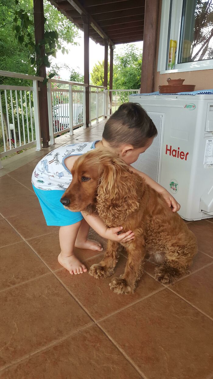 When I Told My Little Boy That Victor,our Dog Was Afraid Of Thunders (He Was Literally Shaking Because Rain Was Coming) Today,he Went Over And Gave Him A Hug!