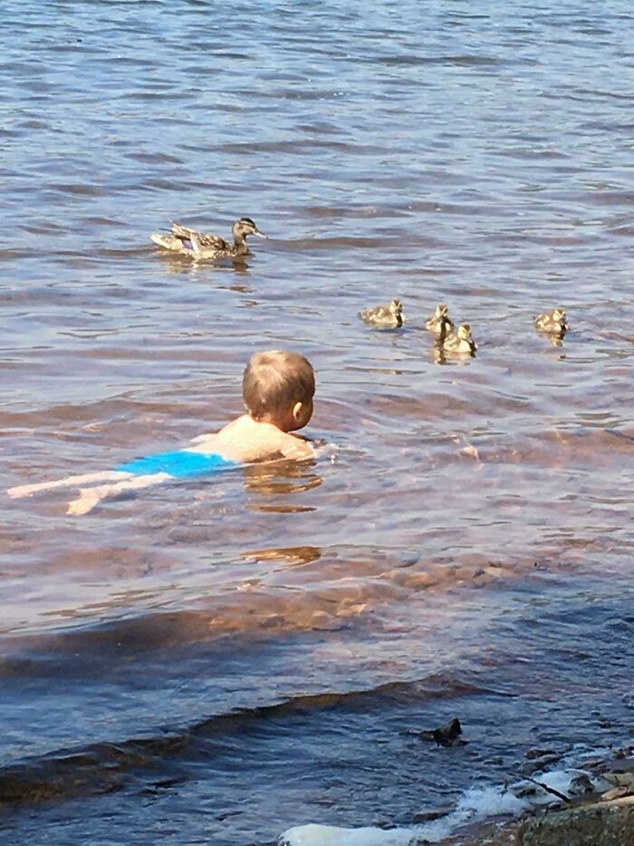 Out Of All The Kids At The Lake, Mama Duck Brought Her Babies To My Son. He Loves Animals So Much And It Made His Life!